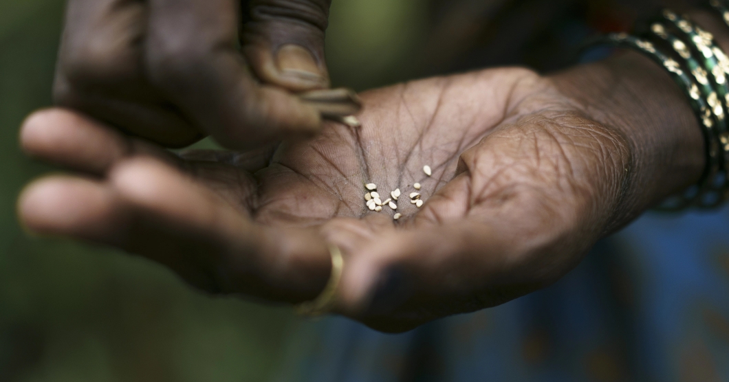 The Photo Bridge Project