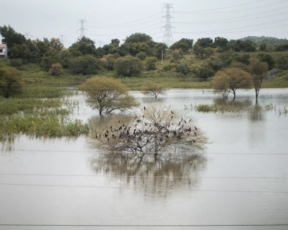 A flooded country view
