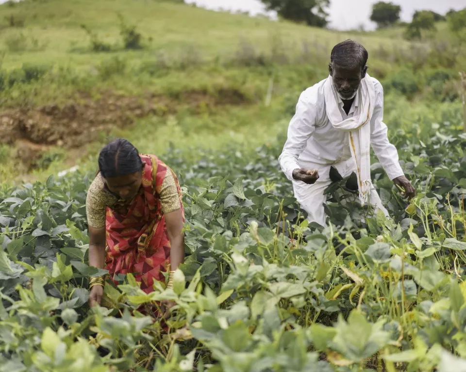 Two persons in a field