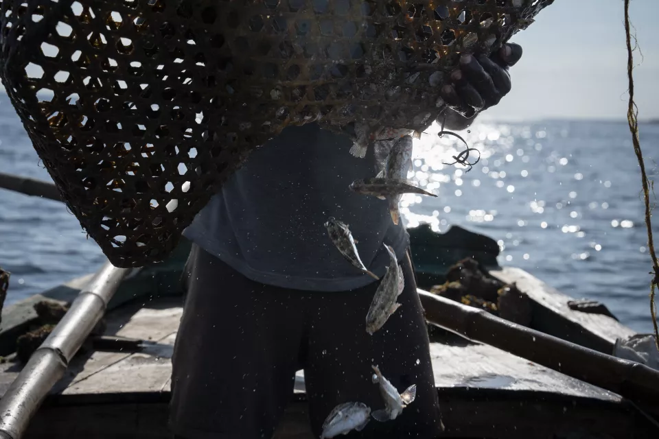 Close-up of fishing basket being emptied over boat