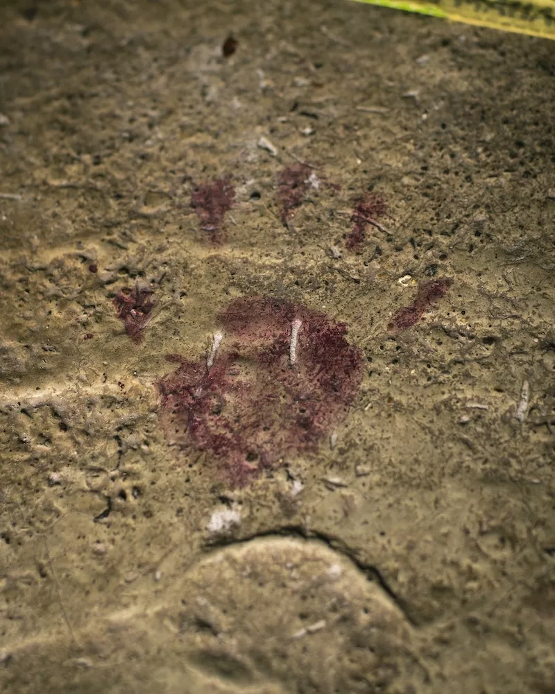 Dark red handprints on cracked cement floor