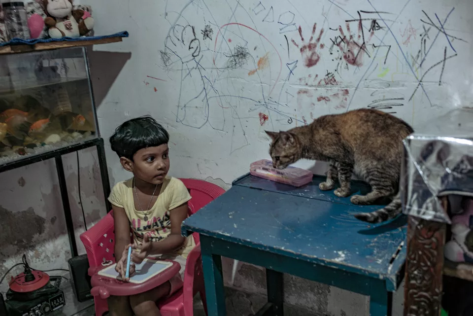 A young child sits with a notebook, watching a cat prowl across a small table, the wall behind covered in children's scrawled drawings and handprints.
