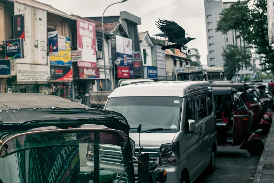 A crow swoops low over gridlocked traffic in a busy Colombo street, tuk-tuks and vans packed beneath a dense tangle of signage and power lines.