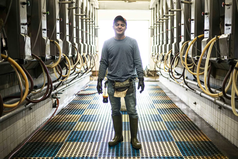 A man standing in a dairy farm milking parlor, holding a bottle.