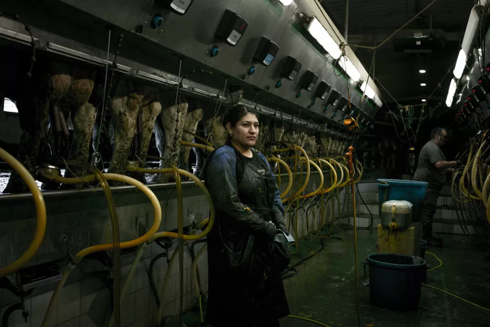 Portrait of a woman standing in a milking parlor, rows of cows' legs and udders visible along the line, yellow hoses and machinery around her, another worker visible in the background.